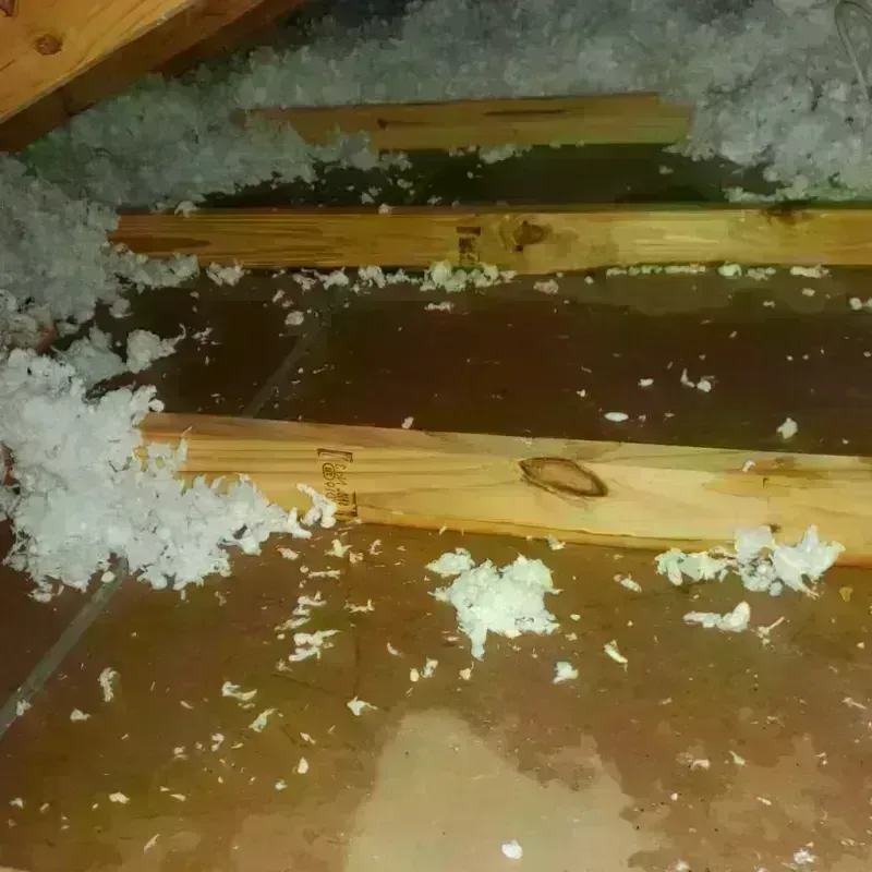 Attic Water Damage in Waukee, IA