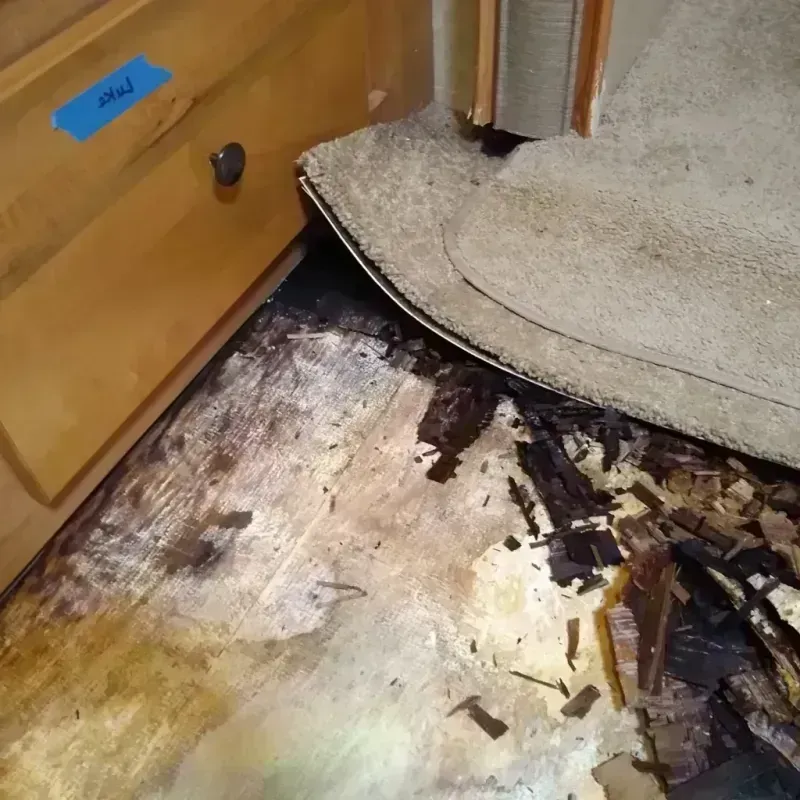 Wood Floor Water Damage in Waukee, IA